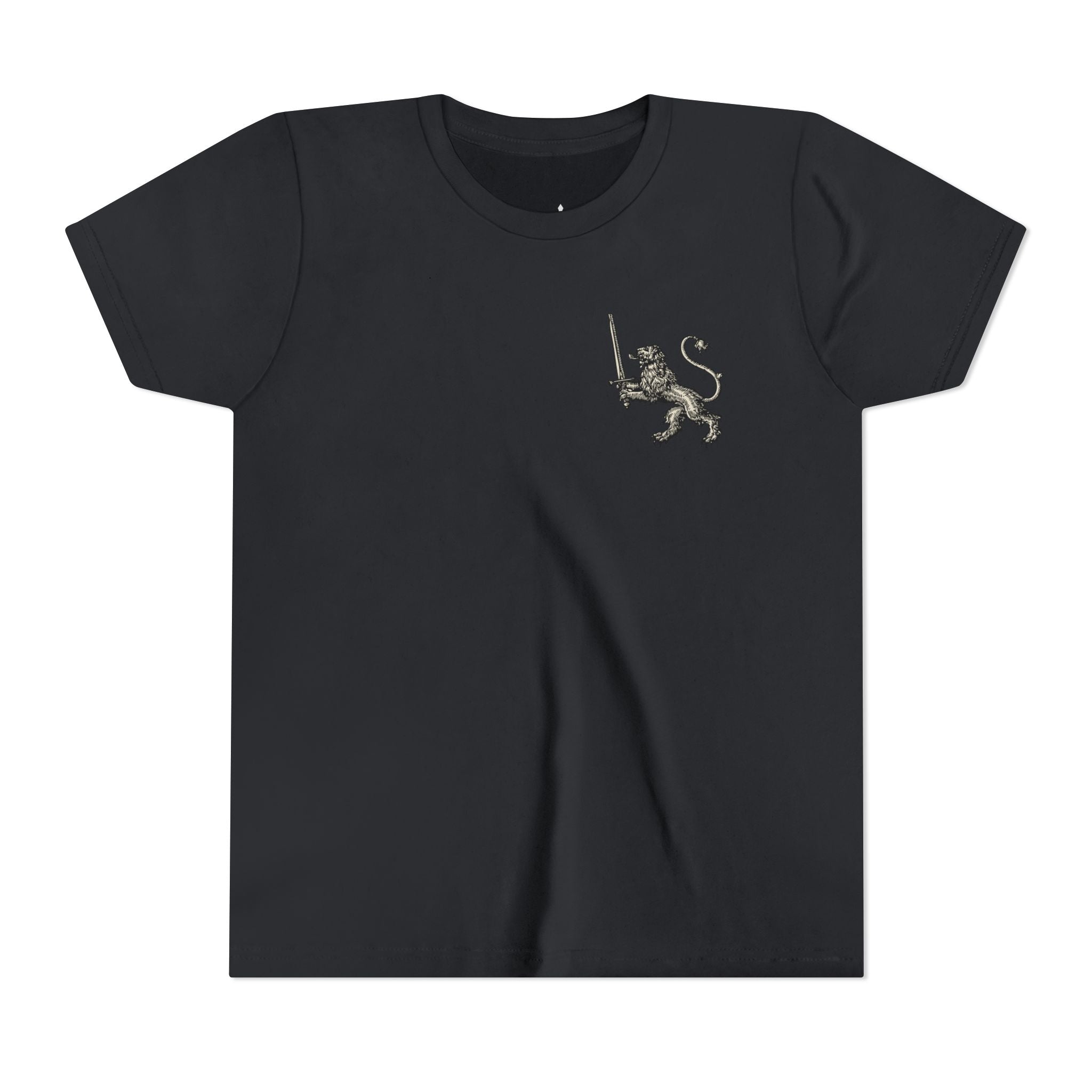 The Armor Of God Premium Boys Tee