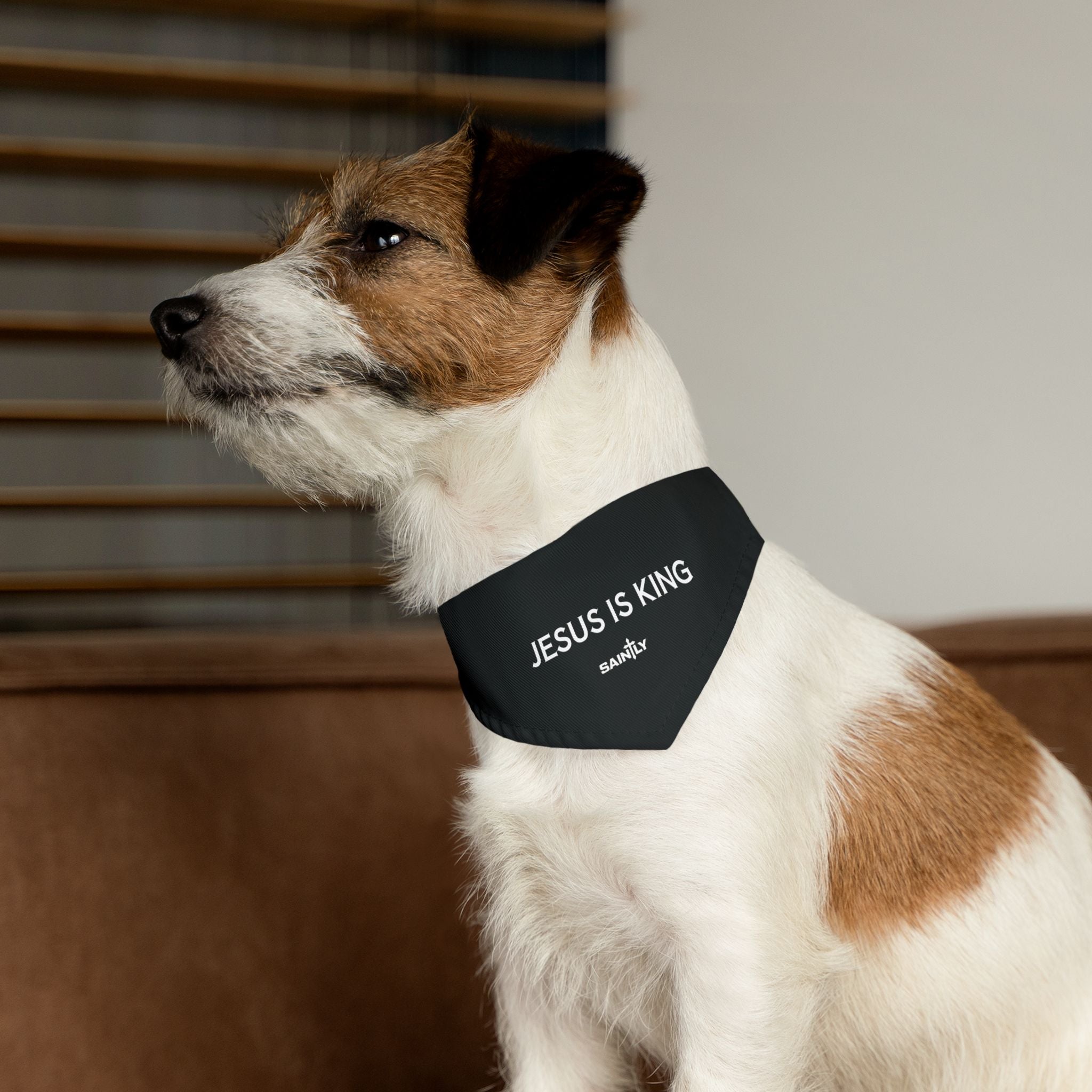 Saintly Christian Pet Bandana Collar