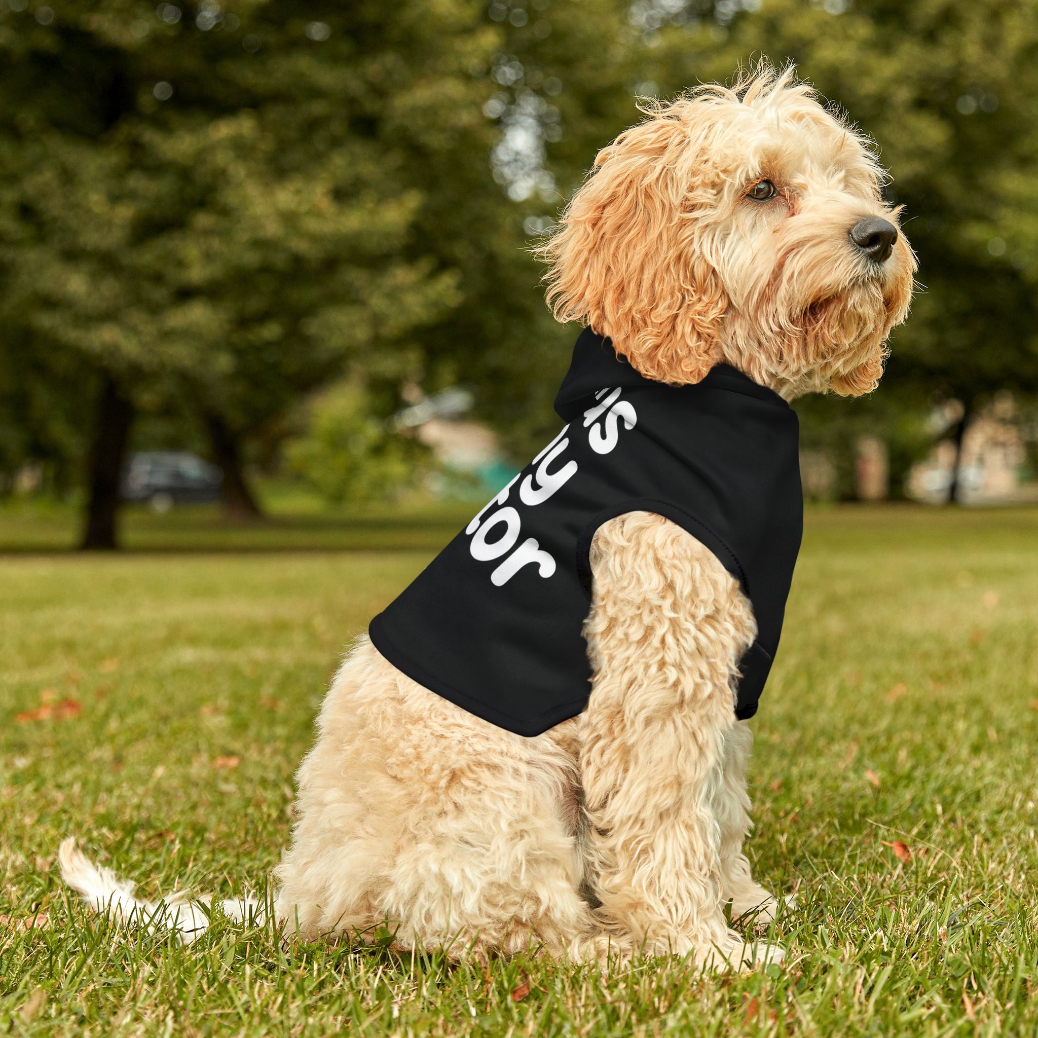 Saintly Christian Dog Hoodie