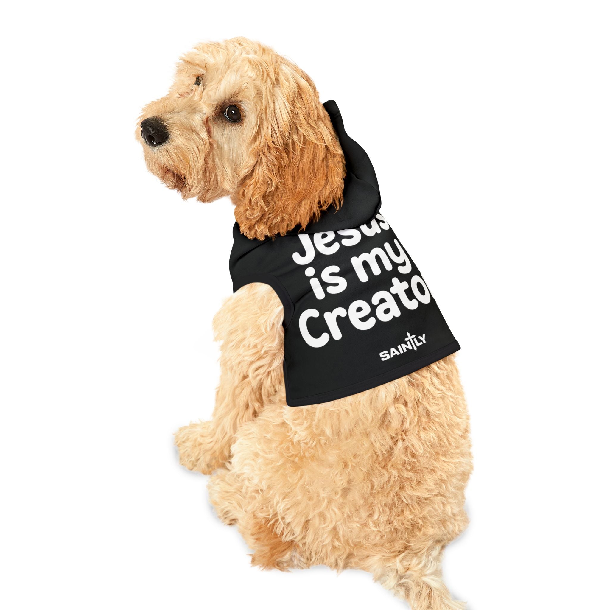 Saintly Christian Dog Hoodie