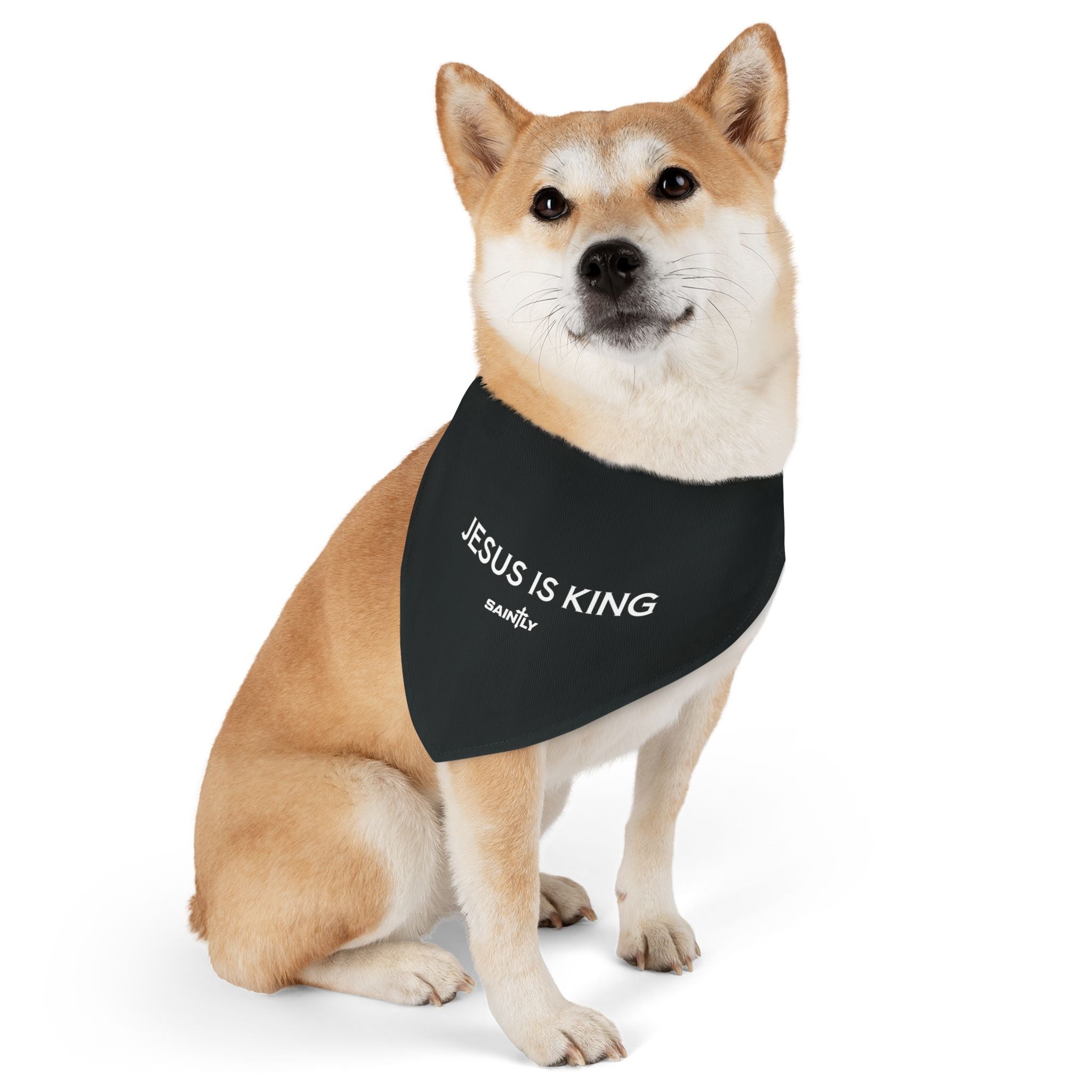 Saintly Christian Pet Bandana Collar